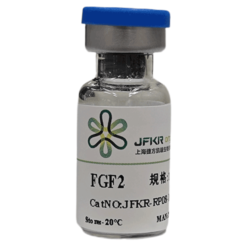 FGF2 