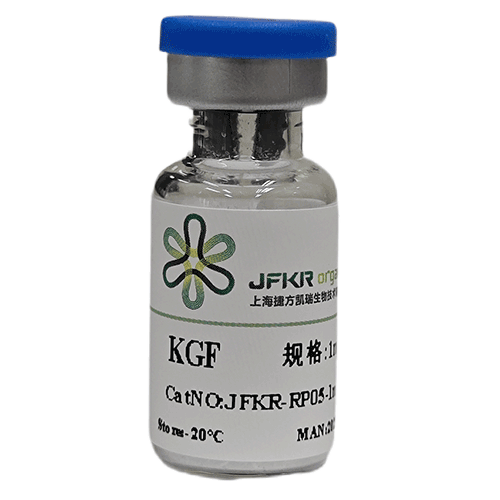  KGF 
