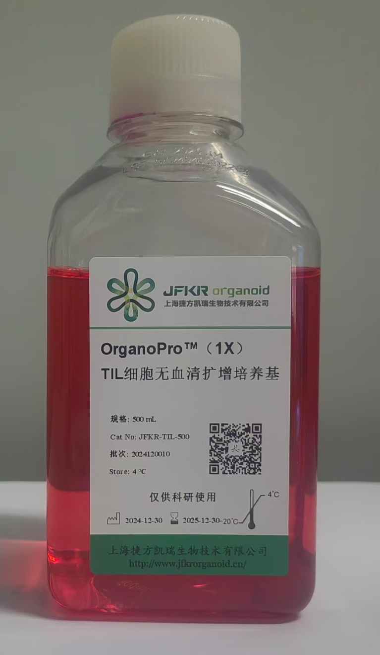 TIL细胞无血清扩增培养基