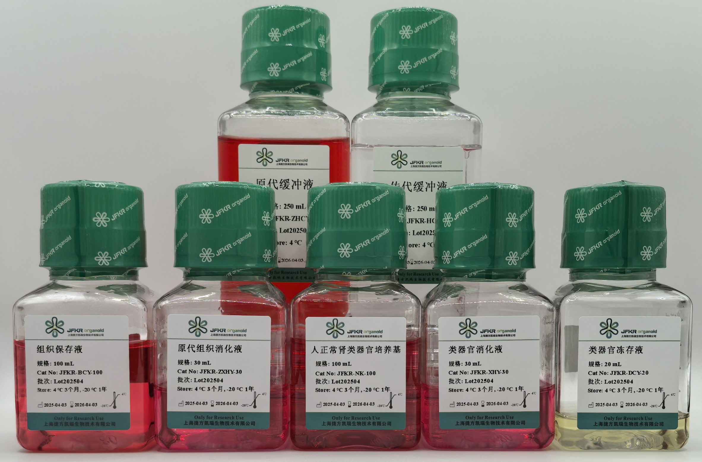 人正常肾类器官培养基试剂盒